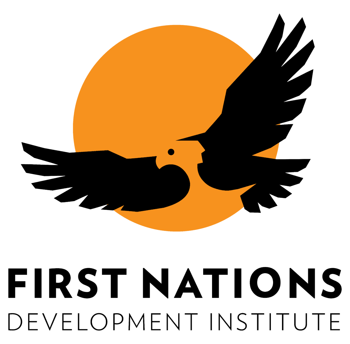 First Nations Development Institute (FNDI)