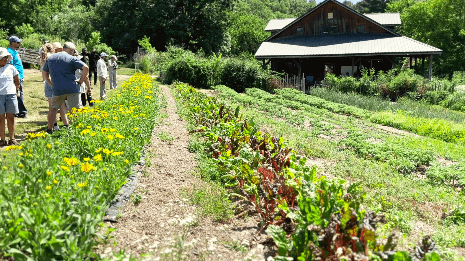 AK_Dripping Springs 1