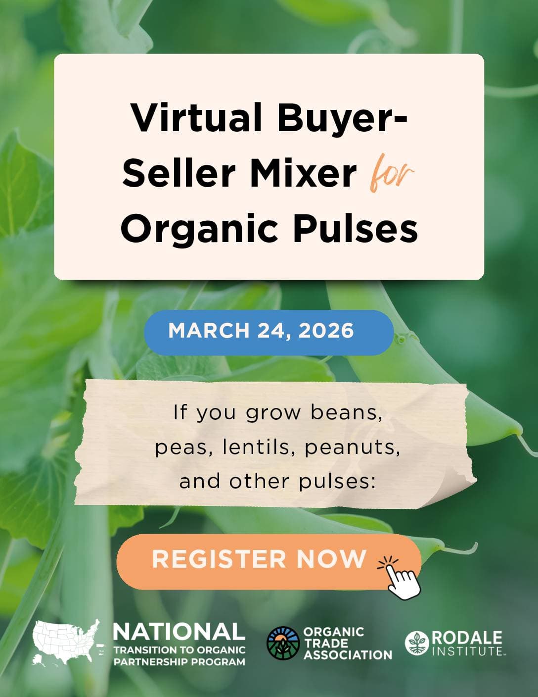 Virtual Buyer-Seller Mixer for Pulses