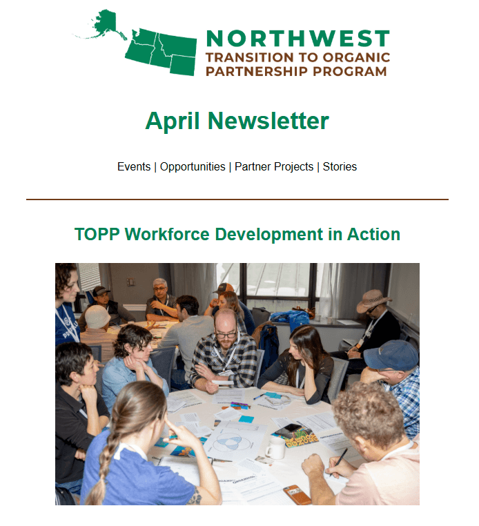 Screenshot 2026-04-02 080016